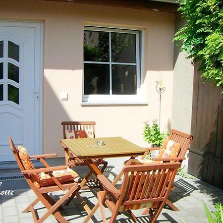 Ferienwohnungen _ Haus Lisa_ Senftenberg Eksteriør bilde