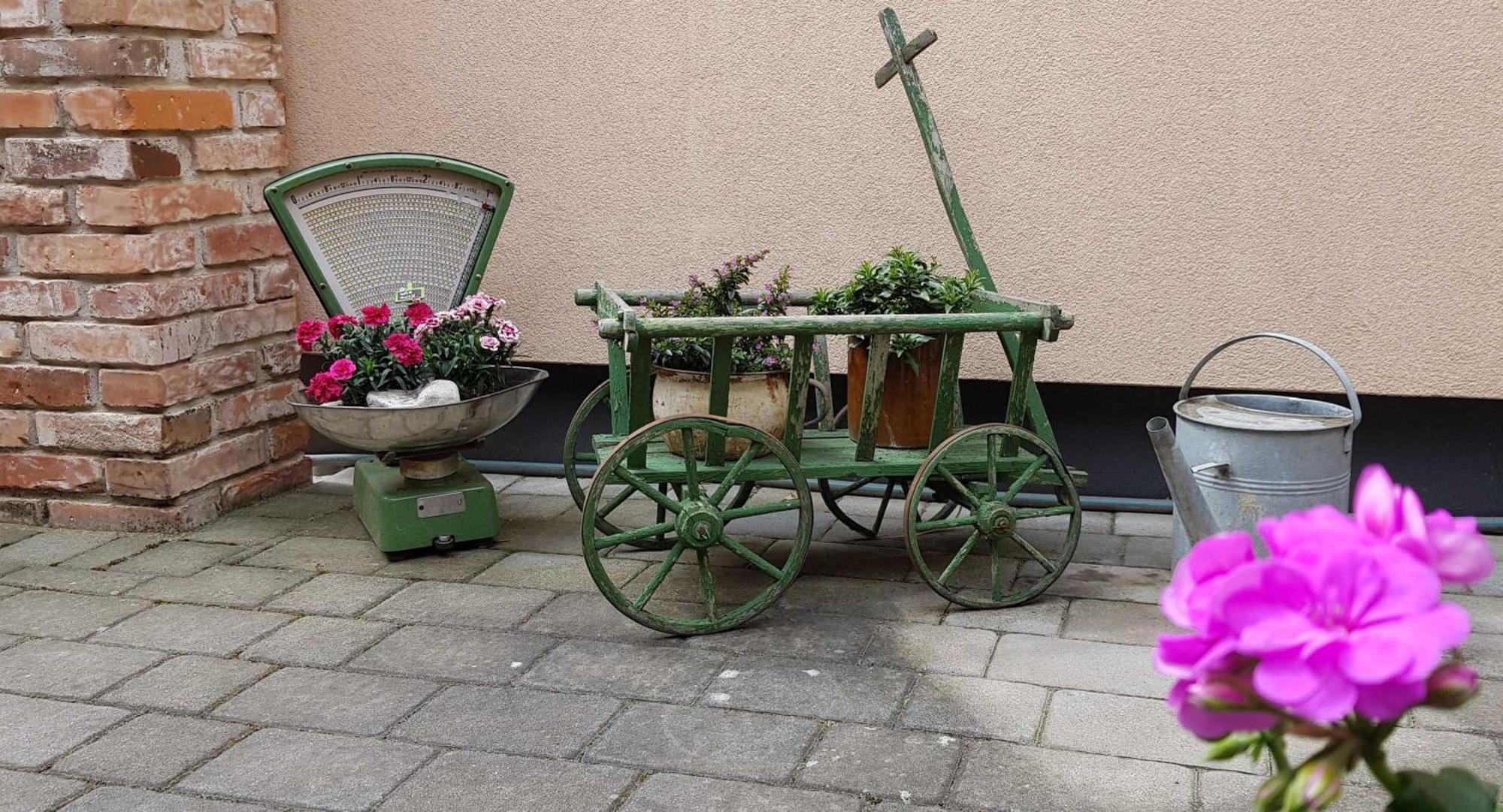 Ferienwohnungen _ Haus Lisa_ Senftenberg Eksteriør bilde